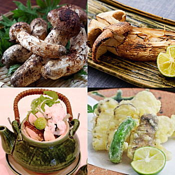 松茸料理